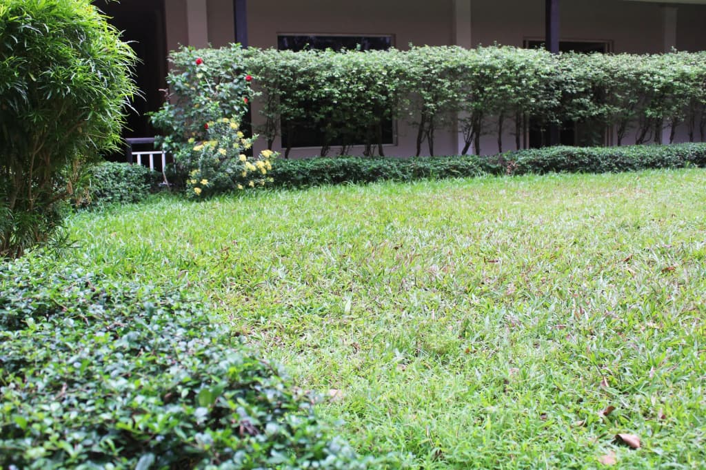 Angkor Riviera Hotel - photo 33