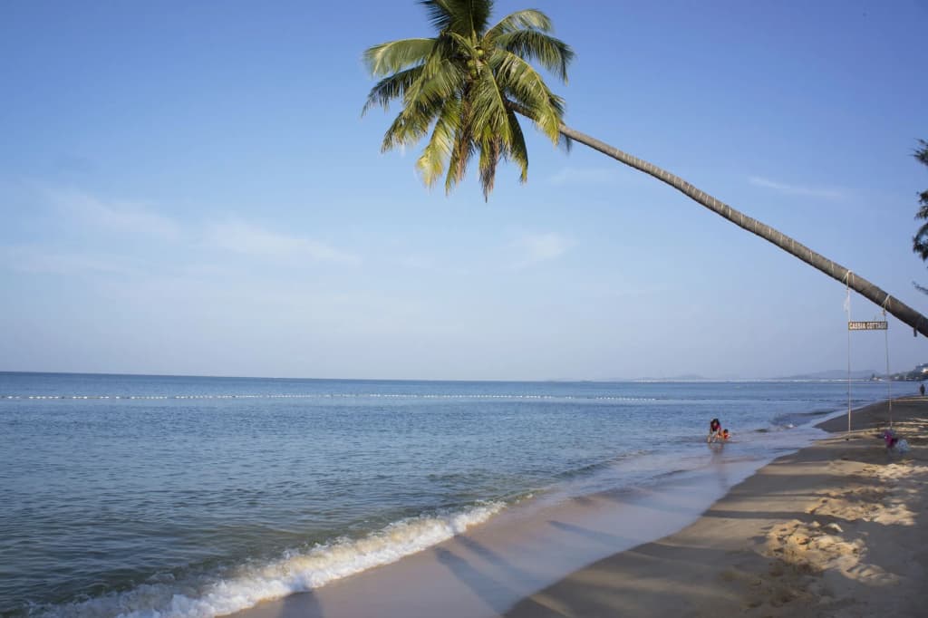 Cassia Cottage Resort and Spa - photo 21