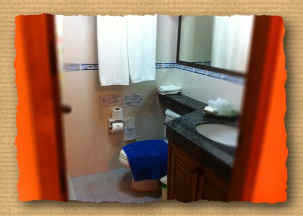 Swiss Palm Beach Hotel - photo 7
