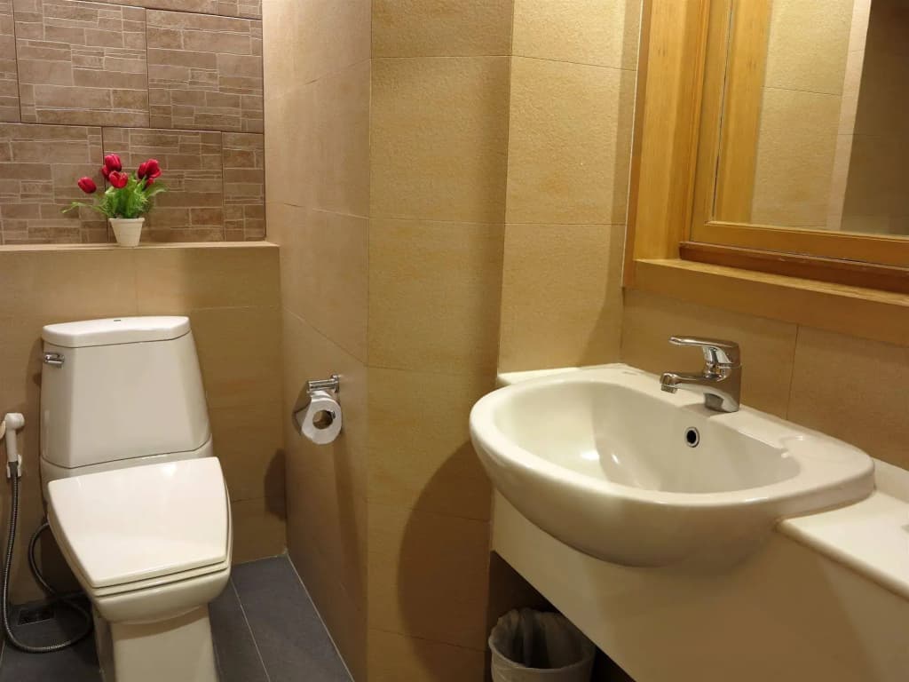 Windmill Resort Hotel - photo 10