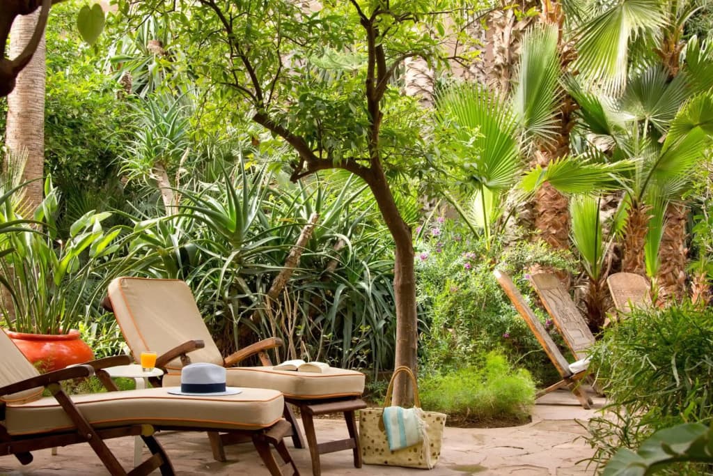 Les Jardins De La Medina - photo 23