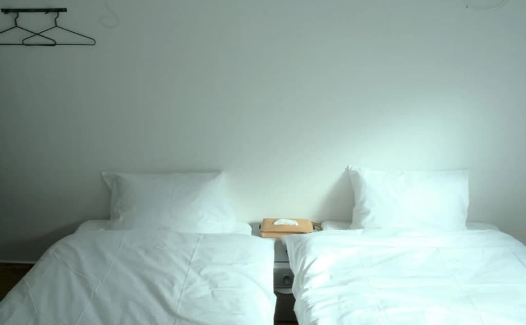 Scalene Hostel - photo 16
