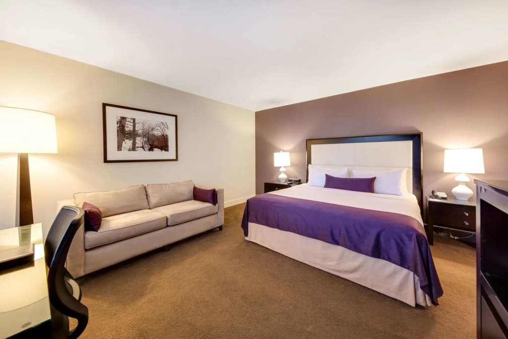 The Andrew Hotel - photo 7