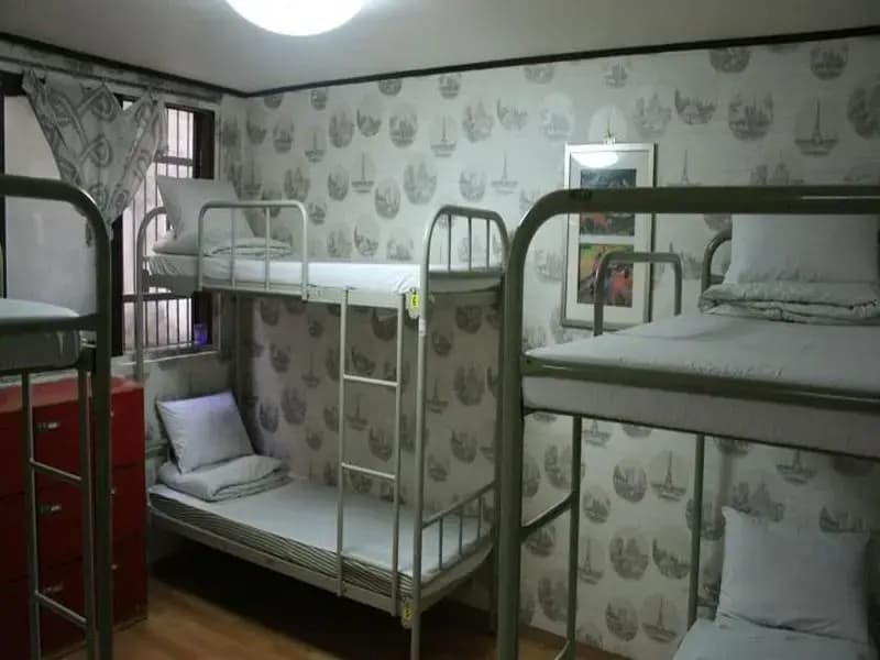 Windroad Guesthouse - photo 5