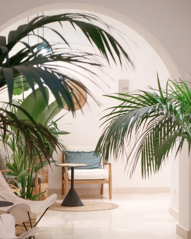 Casa du Soleil Hostal Boutique - photo 12