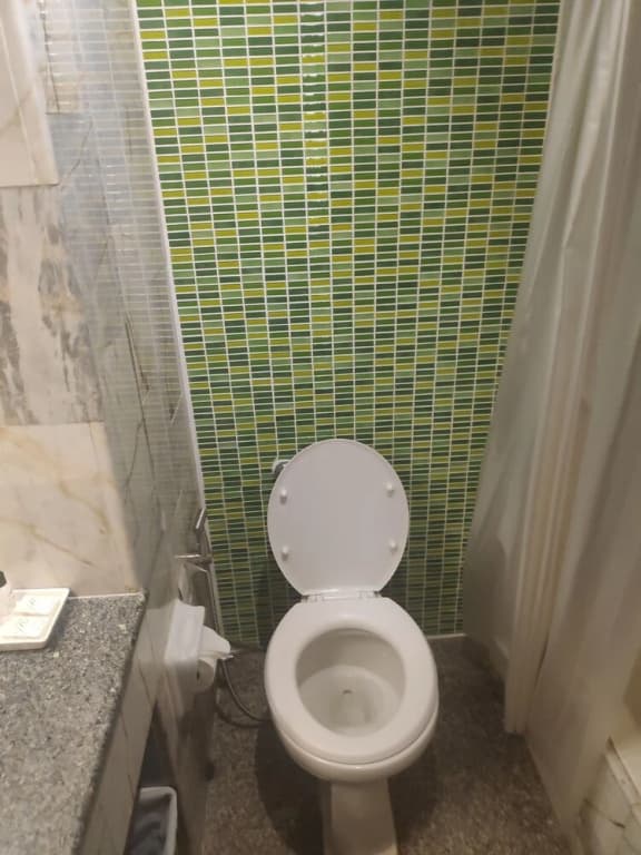 Hotel York Palace - photo 8