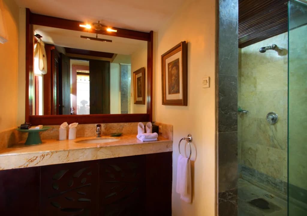 Alam Puri Art Museum, Resort & Spa - photo 8