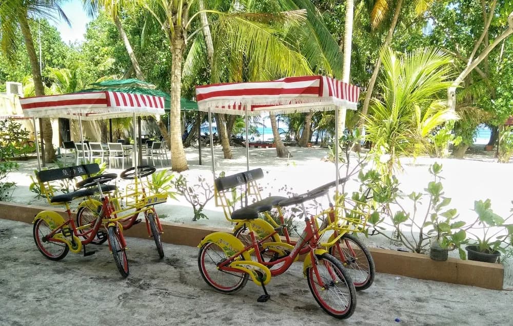 Season Paradise - photo 24