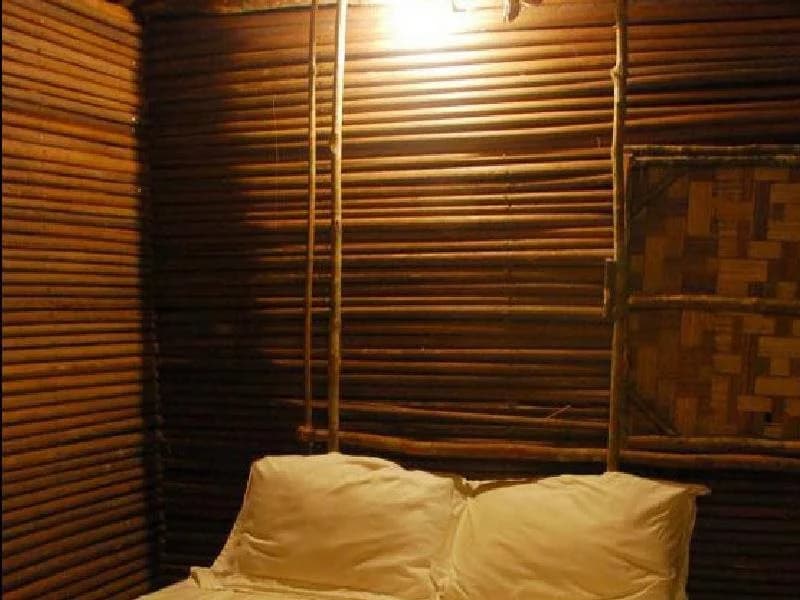 Terras Tree House - main photo