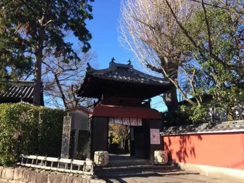 Suzume-An - photo 6