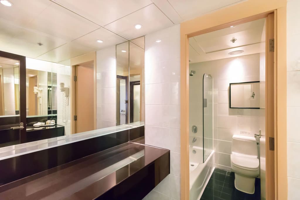 Regal Airport Hotel - photo 8