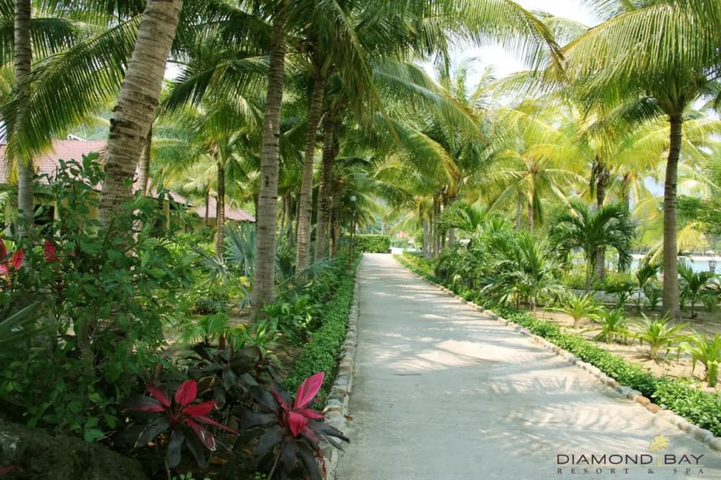 Diamond Bay Resort and Spa - photo 48