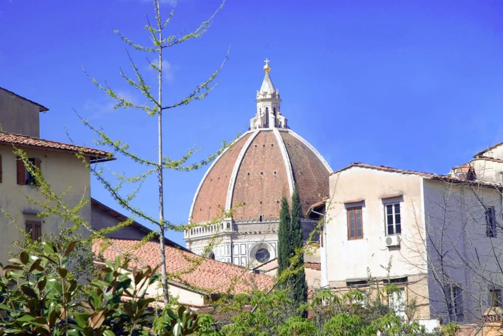 Florence Nice Flat - photo 1