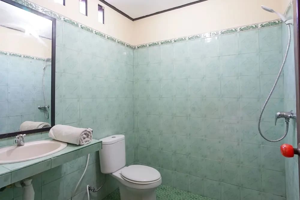 Gina's guest house - photo 7