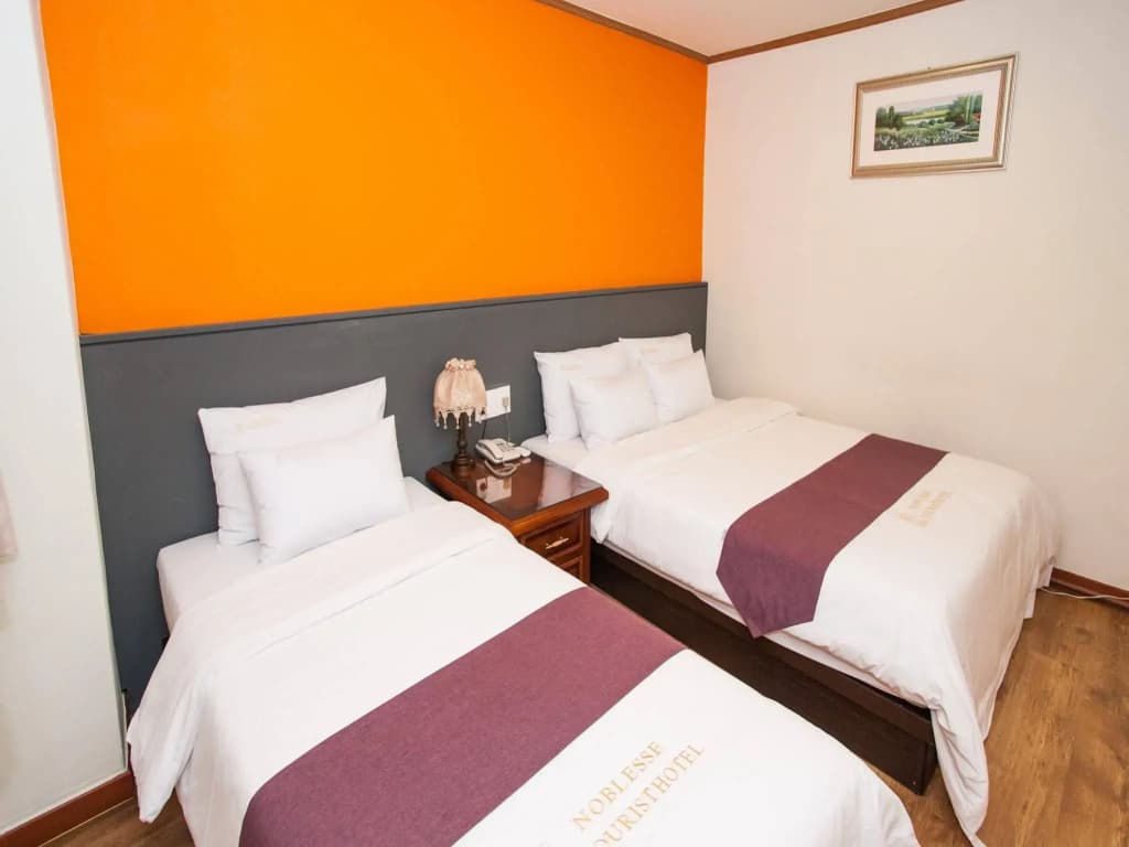 Noblesse Tourist Hotel - photo 4