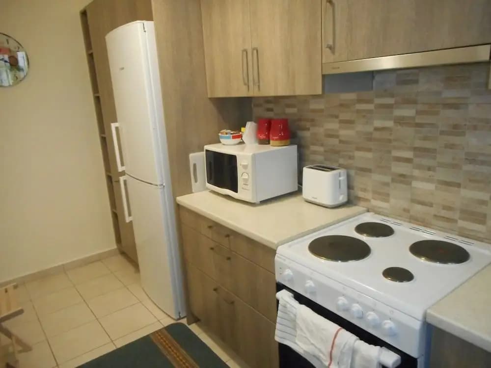 3 Bedroom Deluxe Apartment - photo 17