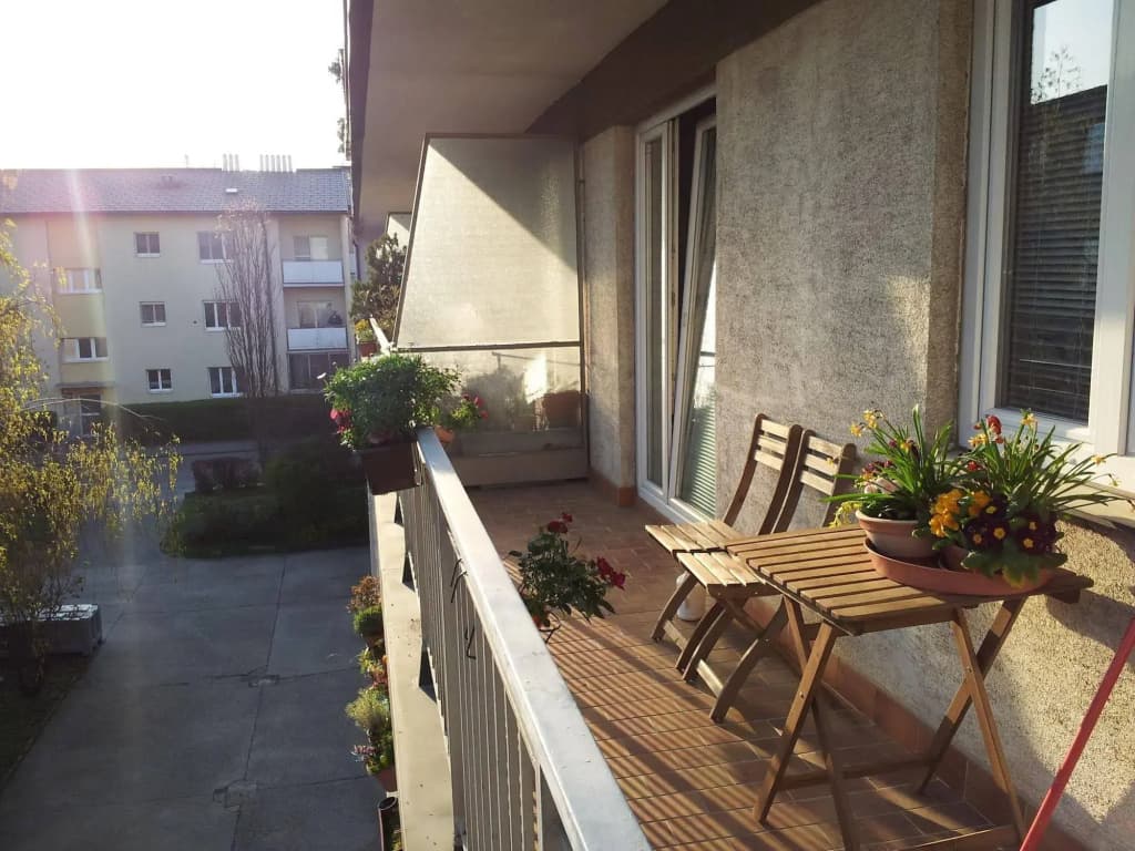 Apartment24 Schnbrunn - photo 11