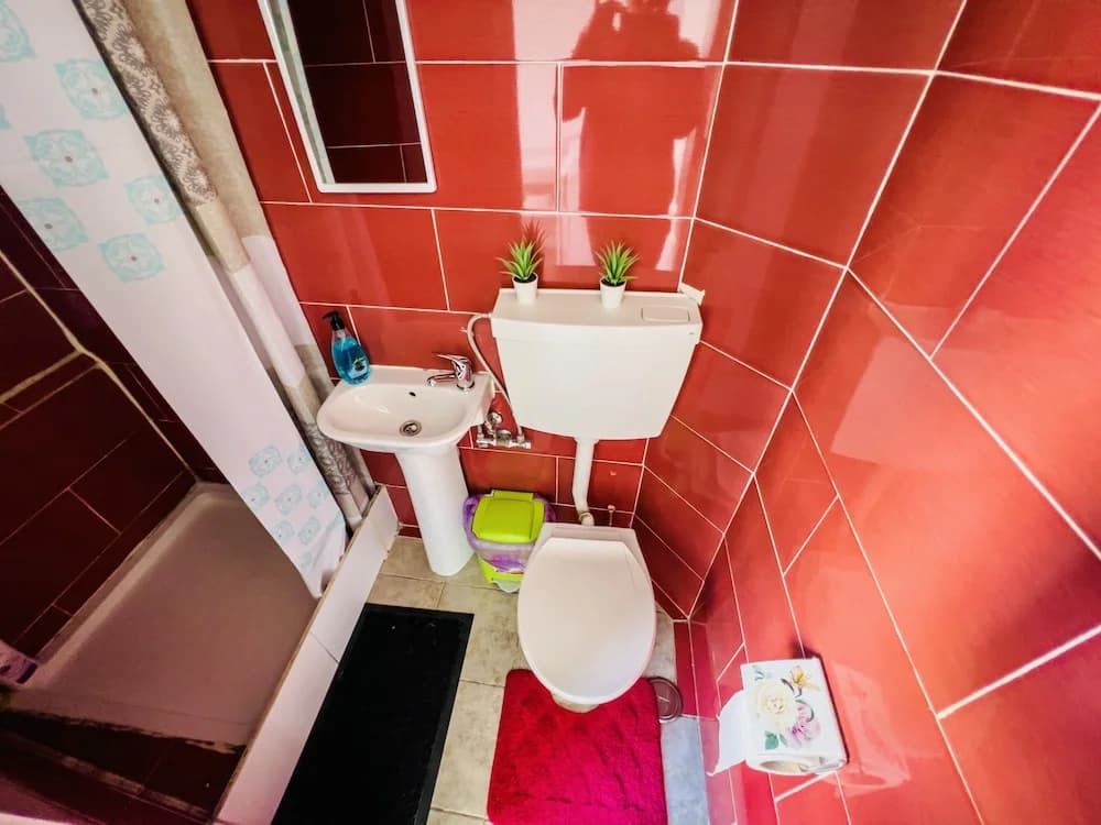 Fortune Guesthouse - photo 9