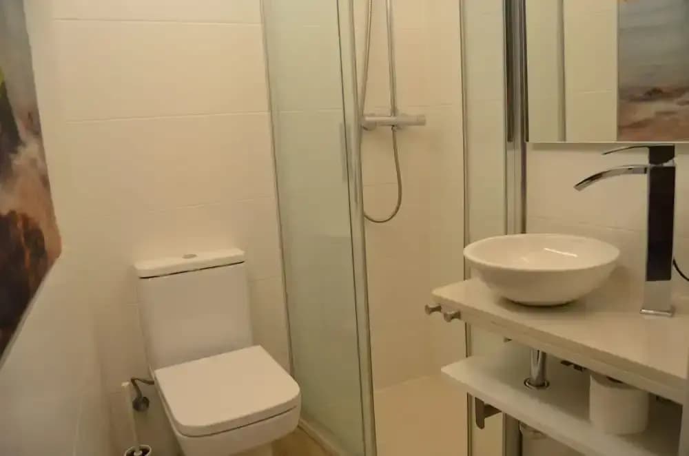 Classic Palau Apartments - photo 9