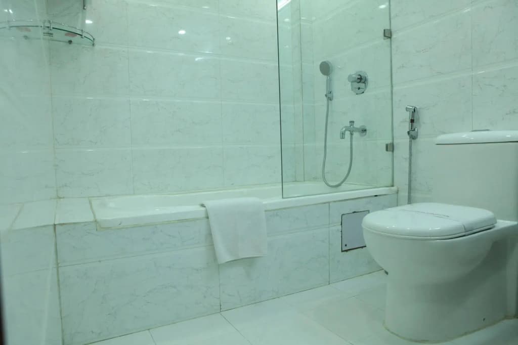 Hotel Ramhan Palace - photo 10