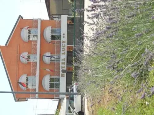 Hotel Lucy - photo 2