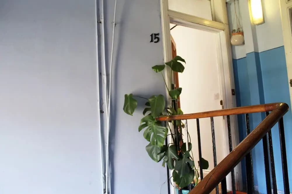 Silver Lining - Meadows Apartments - photo 14