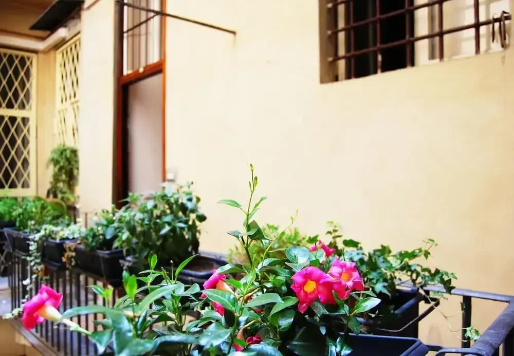 Banco19B&B - photo 11