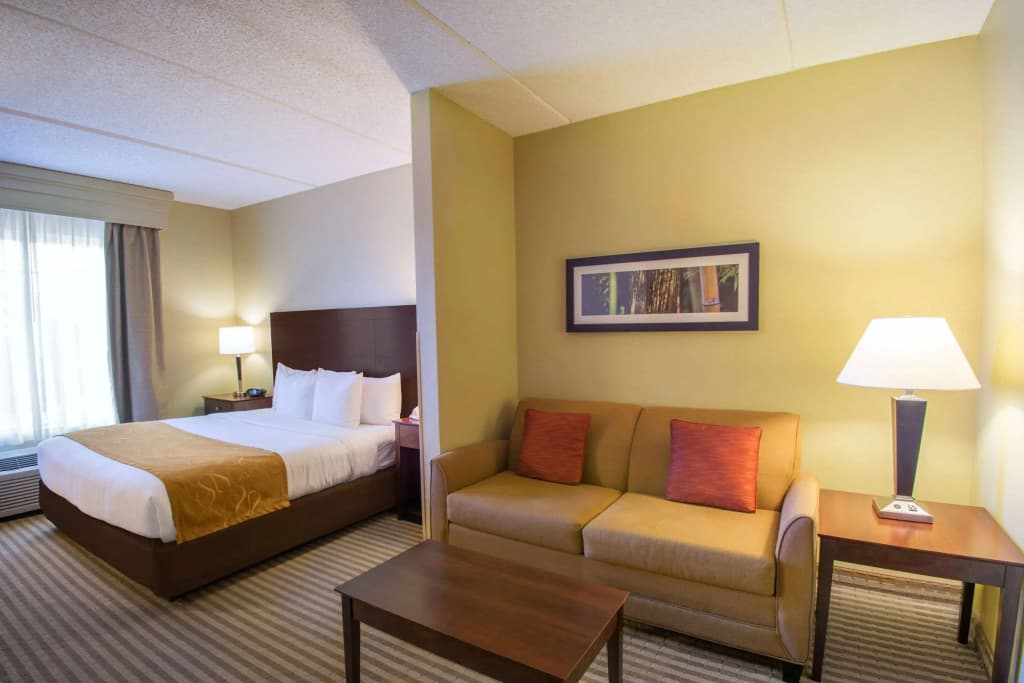 Comfort Suites Near Universal Orlando Resort - photo 3