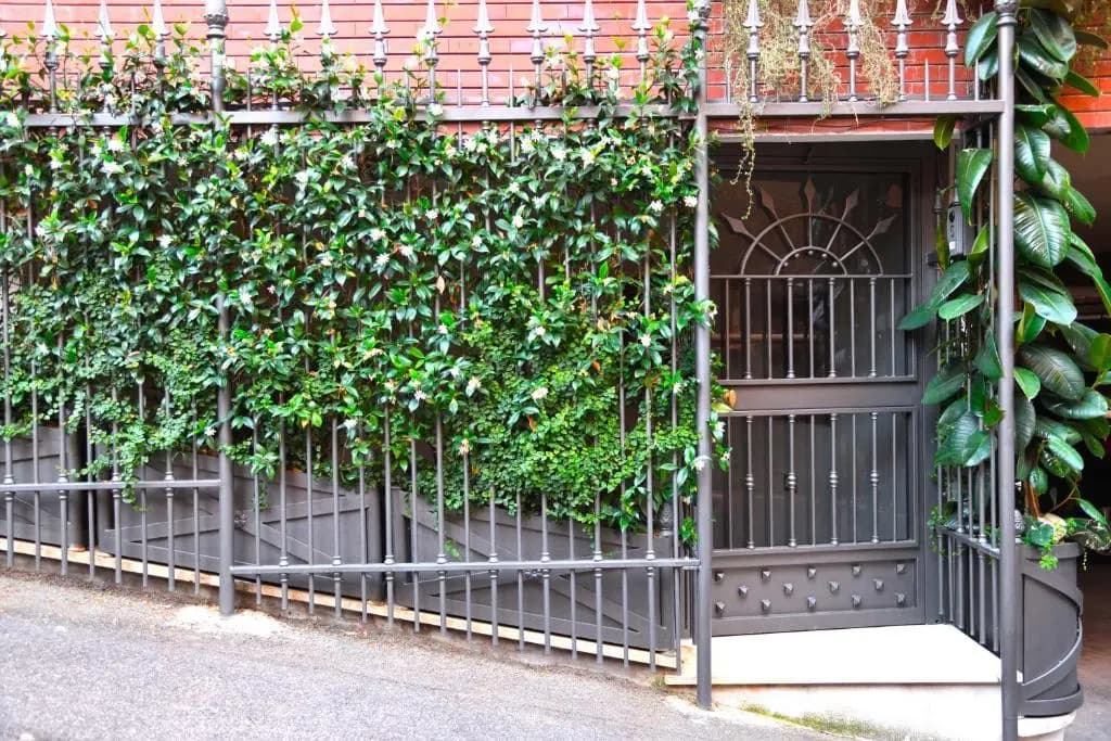 Regal House Roma 2 - photo 13