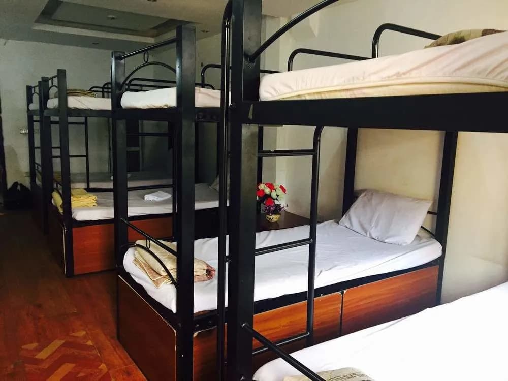 Home Backpackers Hostel - photo 11