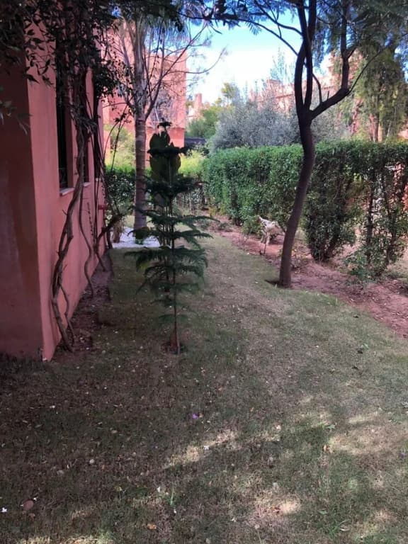 Villa City Garden-Marrakech-VLC-260 - photo 13