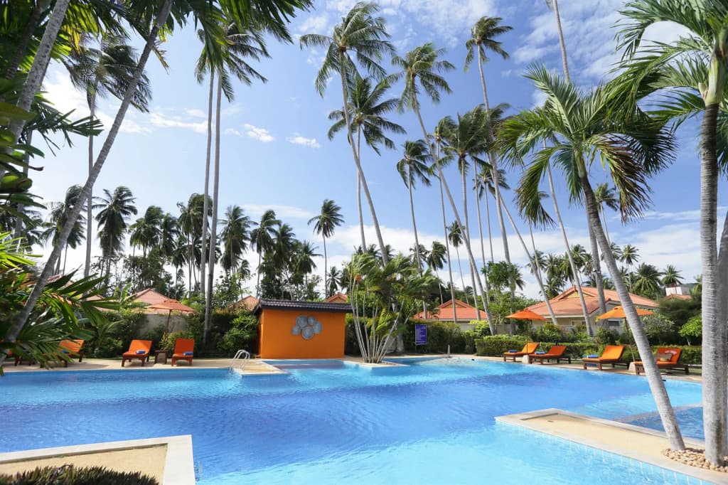 Viva Vacation Resort - photo 13