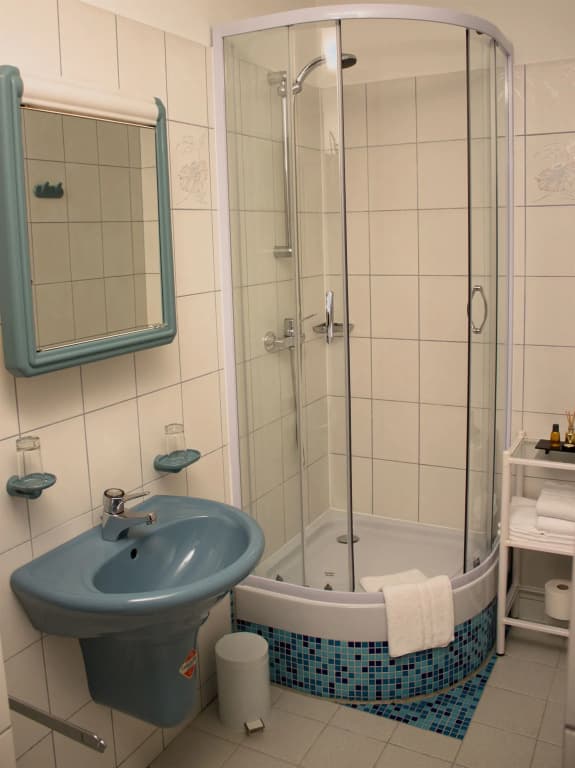 Hotel Pension Dormium - photo 9