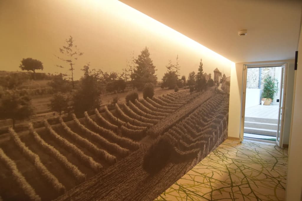 Lisbon Wine Hotel - photo 21