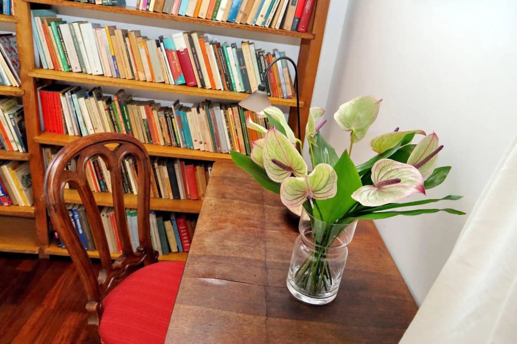 Cozy Cavour - My Extra Home - photo 10