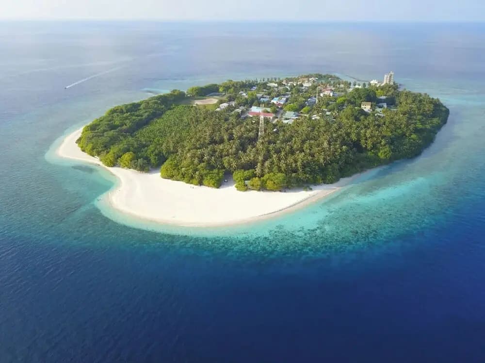 Hanifaru Beach Inn - photo 16