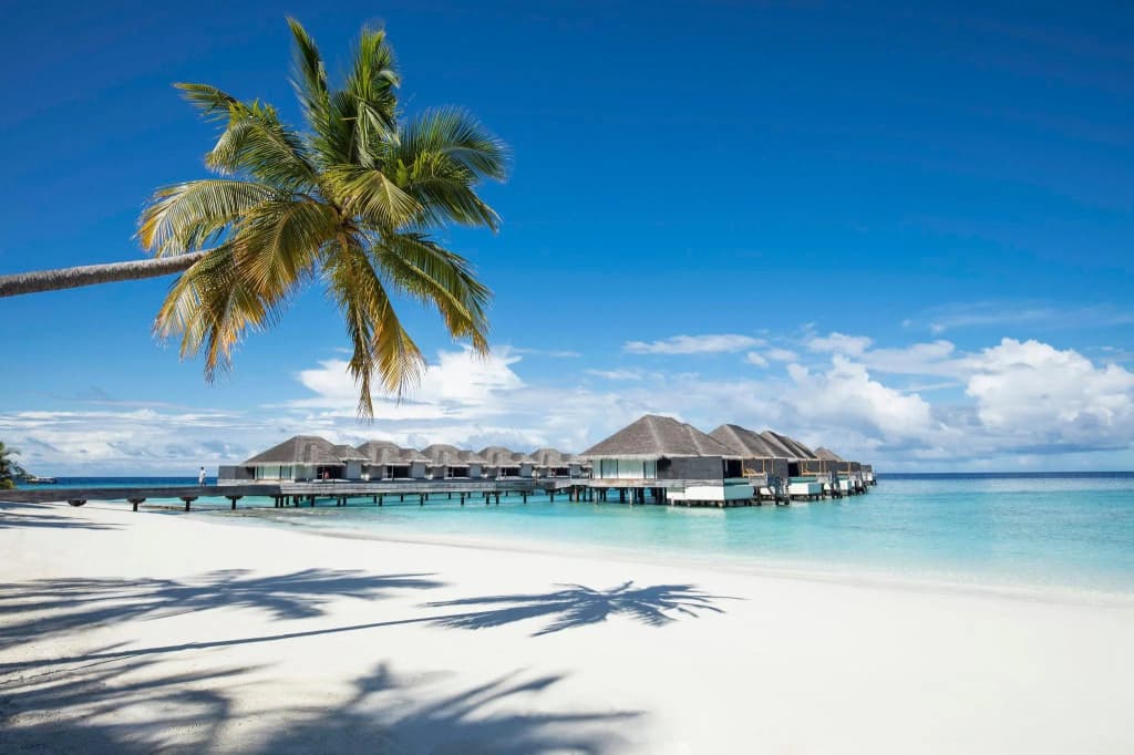 Outrigger Konotta Maldives Resort - photo 19