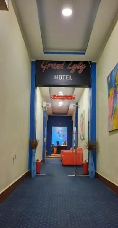 Grand Lyly Hotel - photo 11