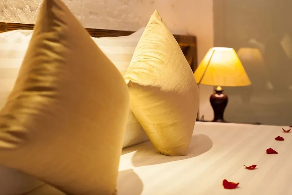 Luxury Backpakers Hotel - photo 6