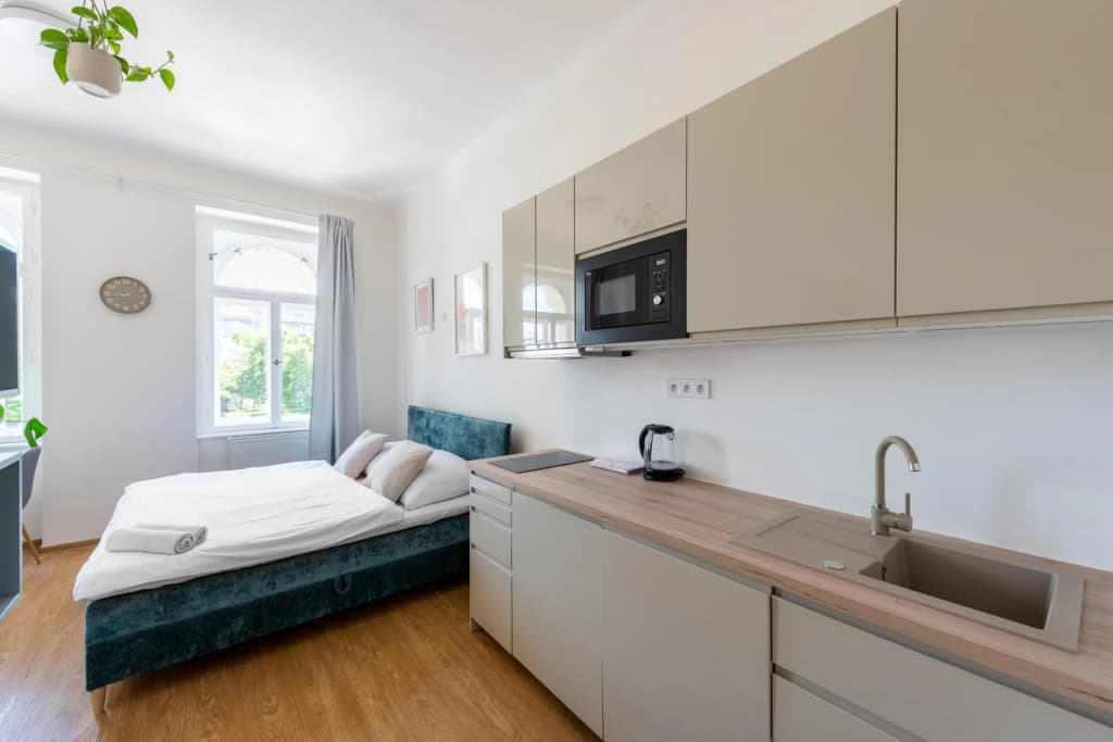 Residence Tesnov Apartment - photo 40