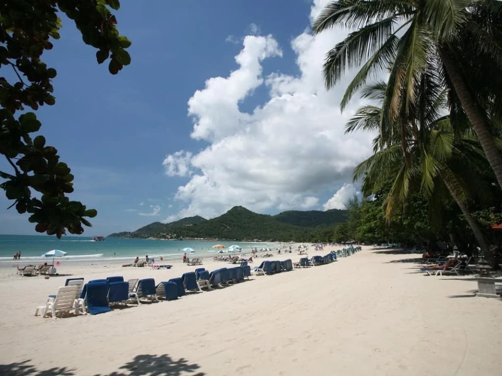 Samui First House Hotel - photo 13