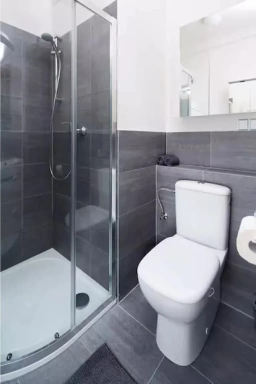 Beautiful Apartment in Prague center - photo 6