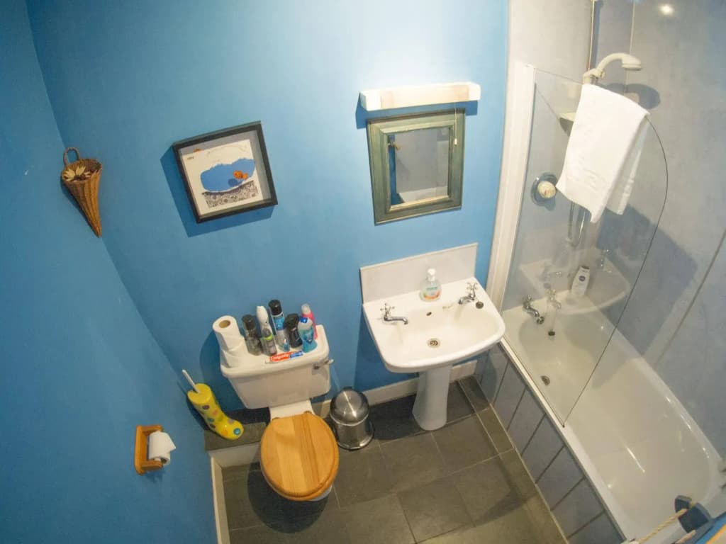Dene Guest House - photo 7