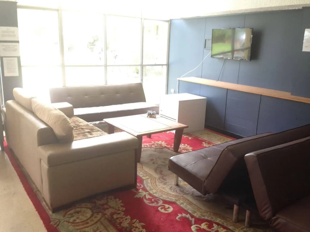 Greenwich Village Accommodation - Hostel - photo 13