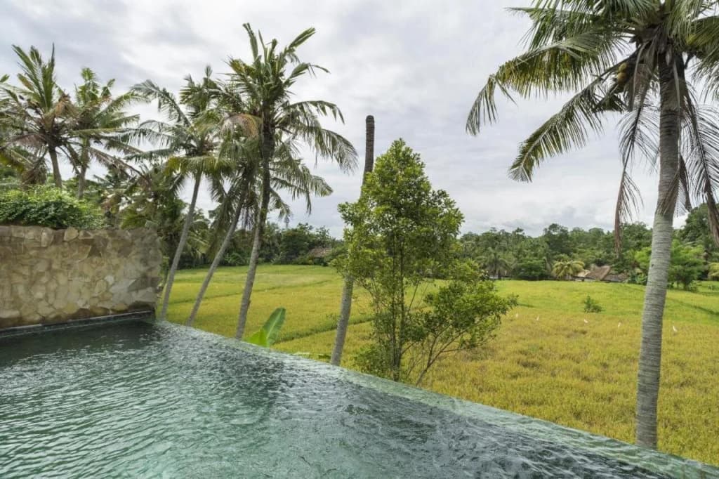 Motama Villa - photo 21