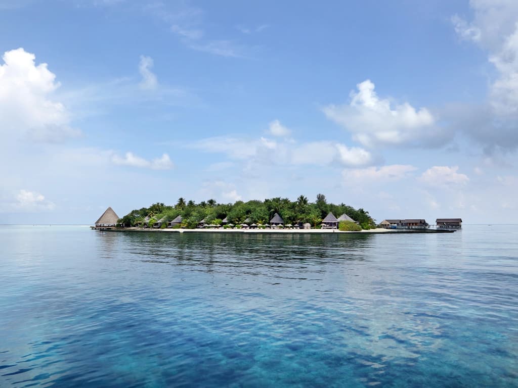 Gangehi Island Resort - photo 16