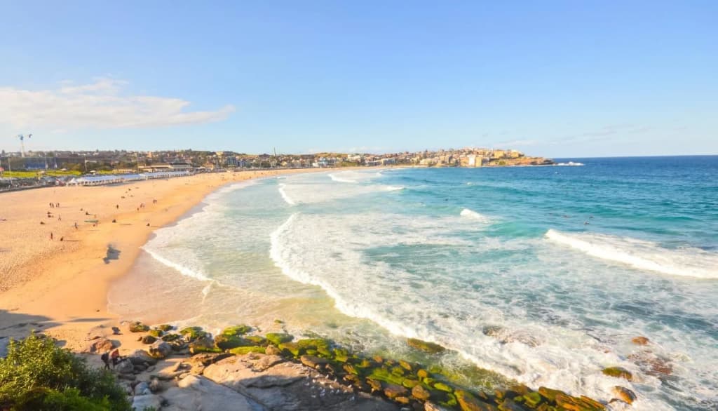 QT Bondi - photo 19