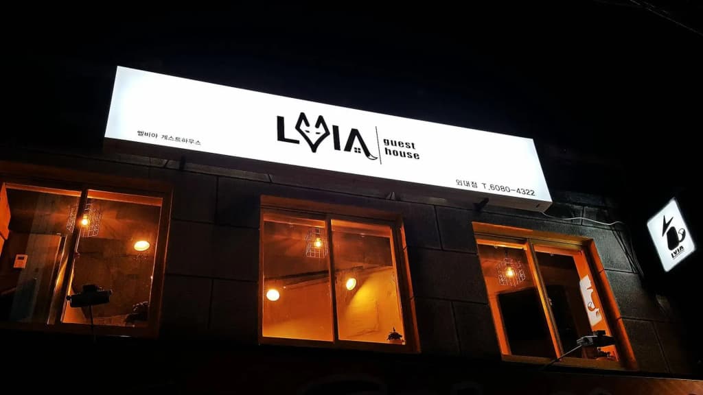 LVIA Guesthouse - Hostel - photo 1