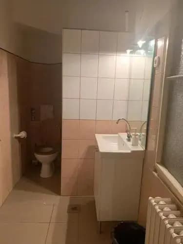 Black Dog Hostel - photo 9