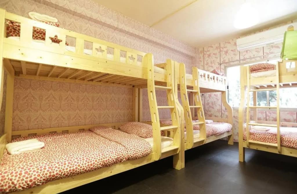 Tiger Lily Hostel - photo 1